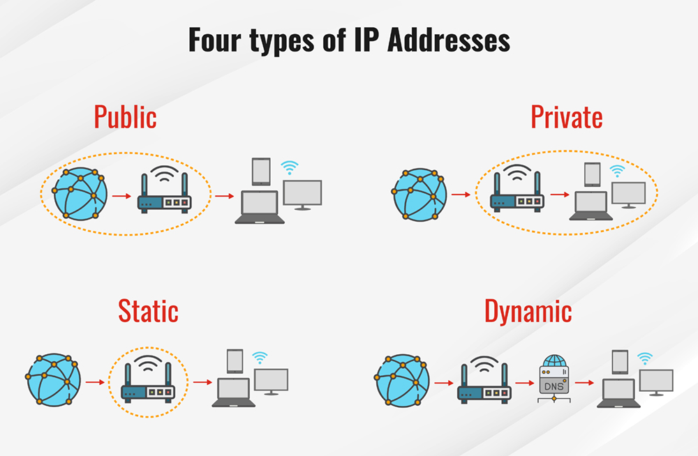 IP Addresses