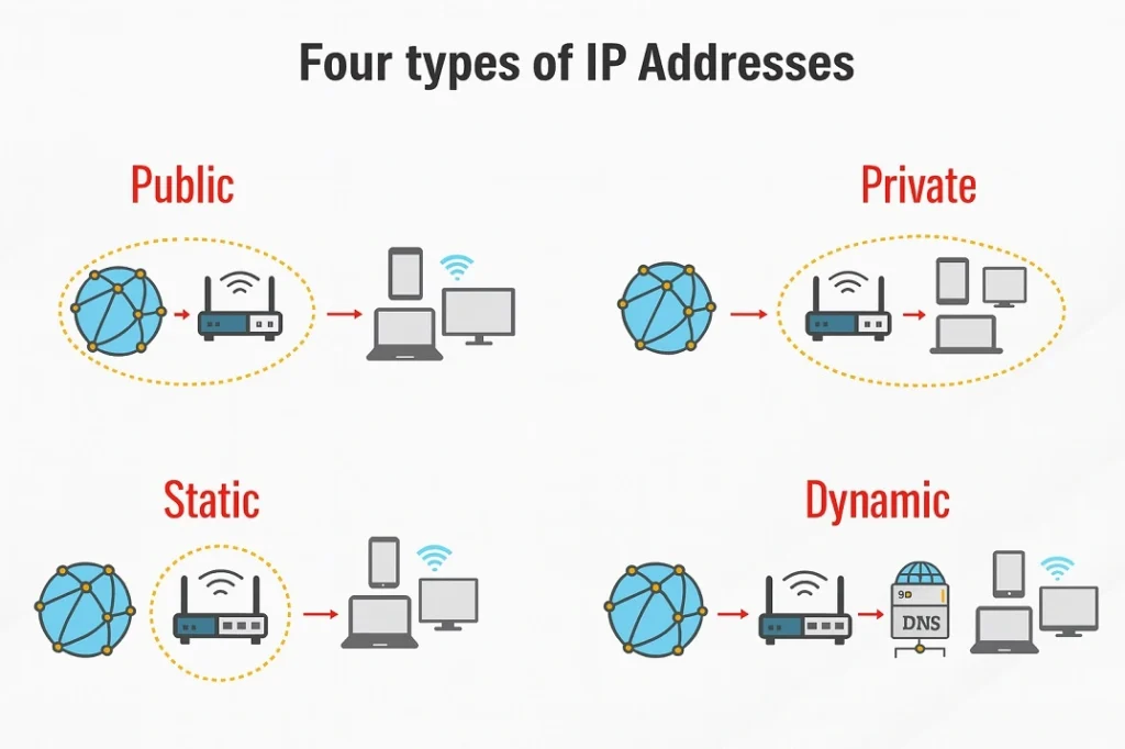 IP Addresses